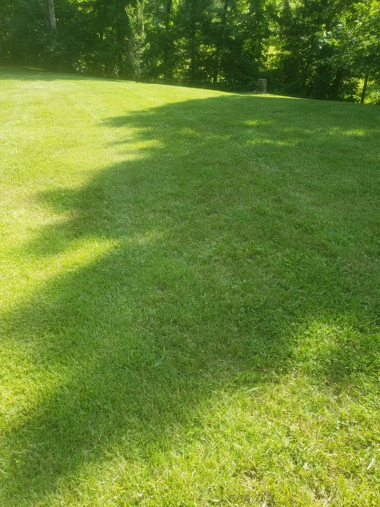 Trusted yard cleanup service in Maryville, TN - S&S Lawn Care