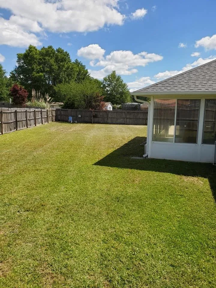 Custom lawn care service for outdoor upgrades in Ripon, CA by SS Lawn Care