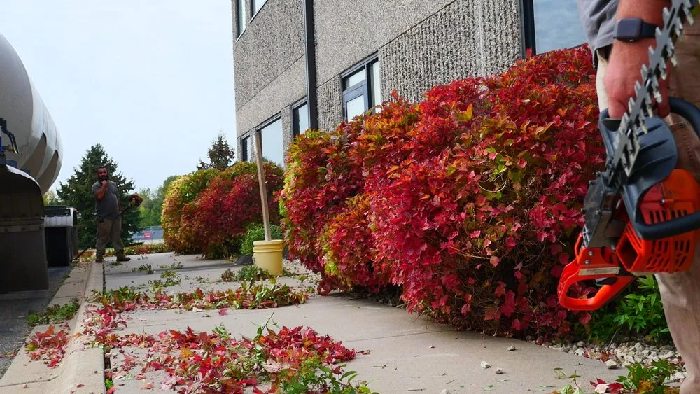 Affordable yard maintenance experts serving Cottage Grove, MN - S&S Lawn Care Service Snow - Landscaping