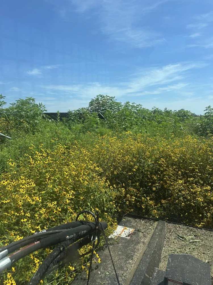 Local garden landscaping for residential properties across Toledo, IL - S&S Lawn Care