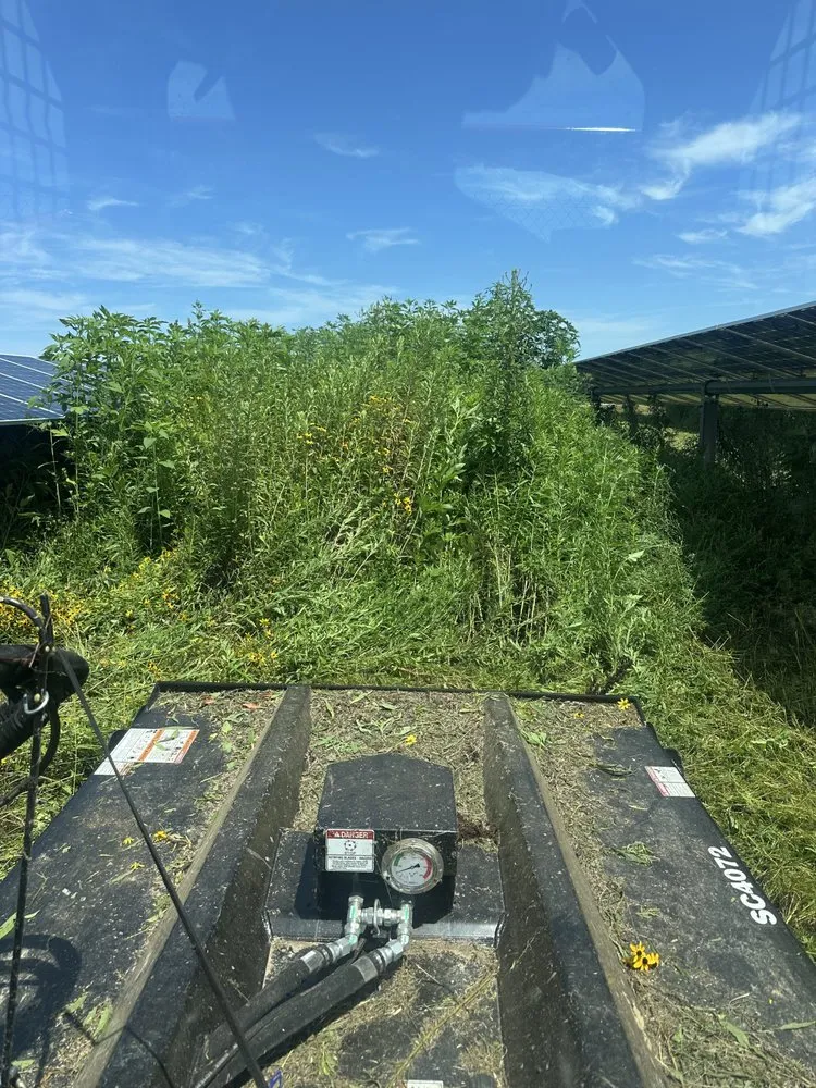 Affordable outdoor landscaping for year-round maintenance in Toledo, IL by S&S Lawn Care