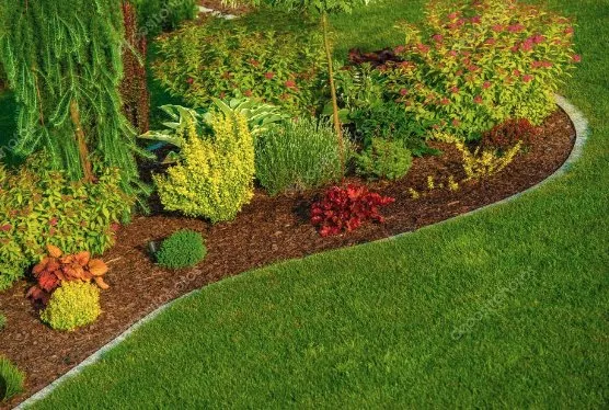 Expert yard cleanup service in Columbus, OH - S&S Lawn Services