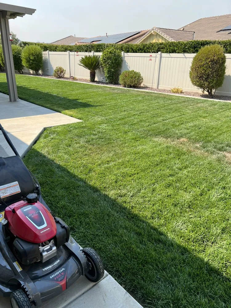Trusted lawn care service experts serving Nuevo, CA - SS Lawn Services