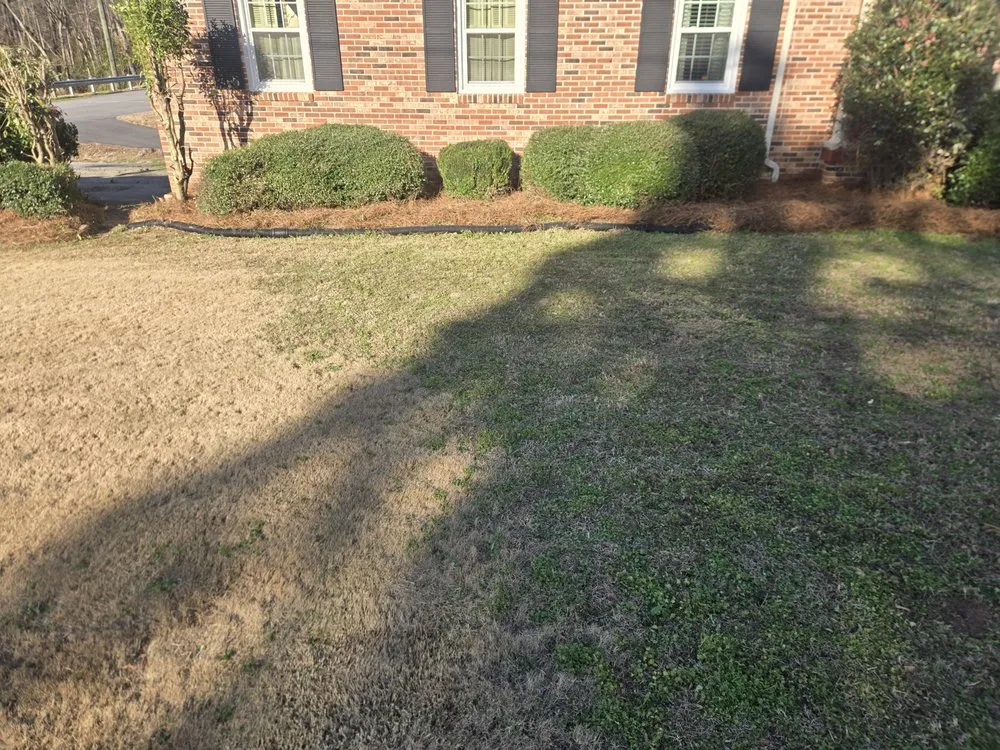 Custom lawn care service in Clinton, SC - S&S Lawncare