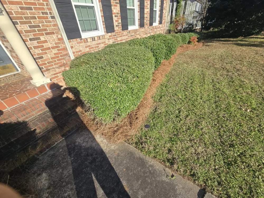 Expert landscaping services in Clinton, SC - S&S Lawncare