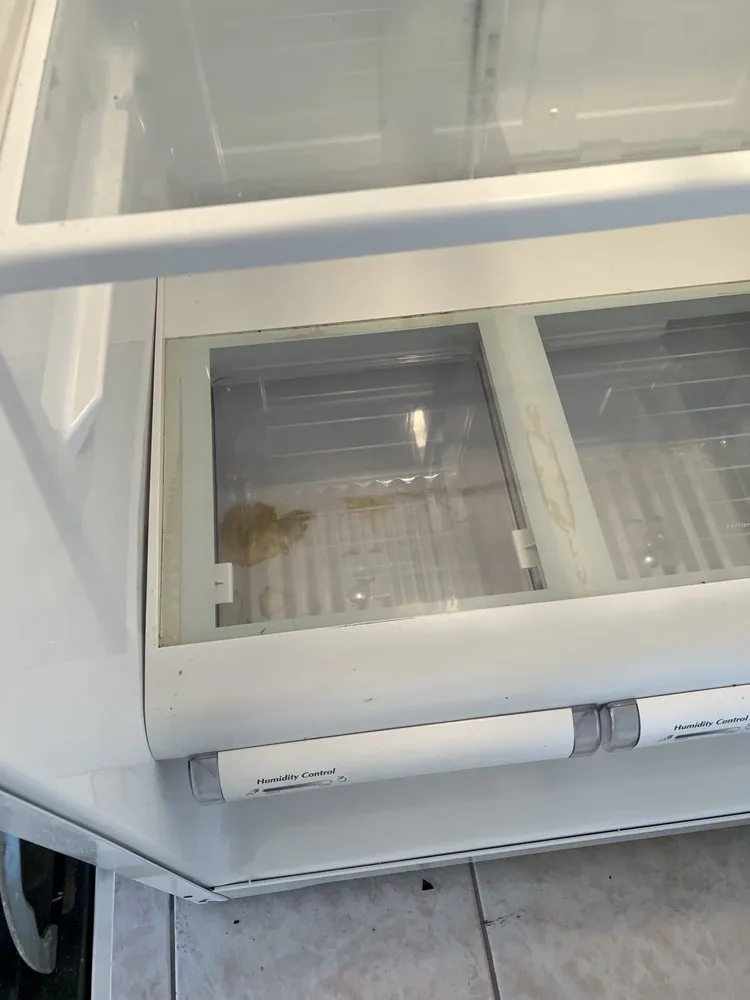 Reliable yard cleanup service in Manteca, CA by S&S Maintenance and More