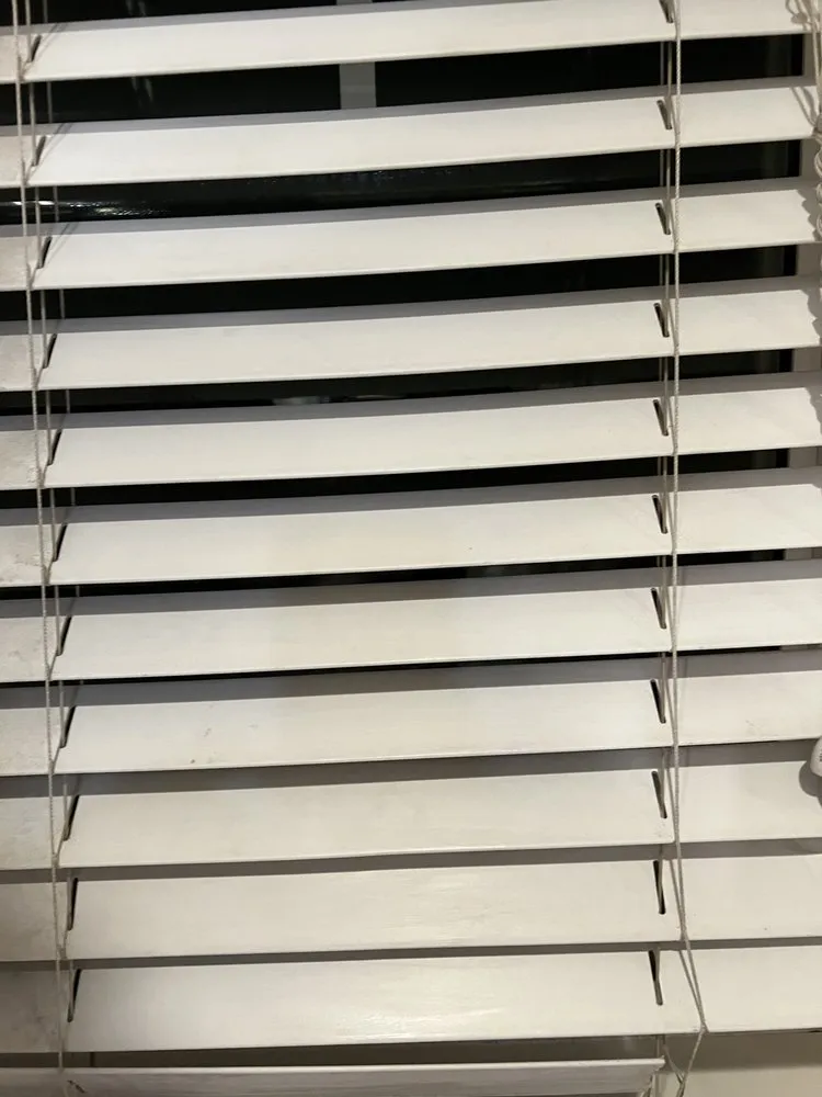 Reliable yard cleanup service for year-round maintenance in Manteca, CA by S&S Maintenance and More