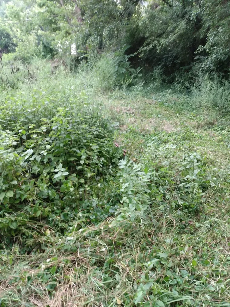 Reliable garden landscaping for beautiful yards in Maysville, KY by S&s Mowing