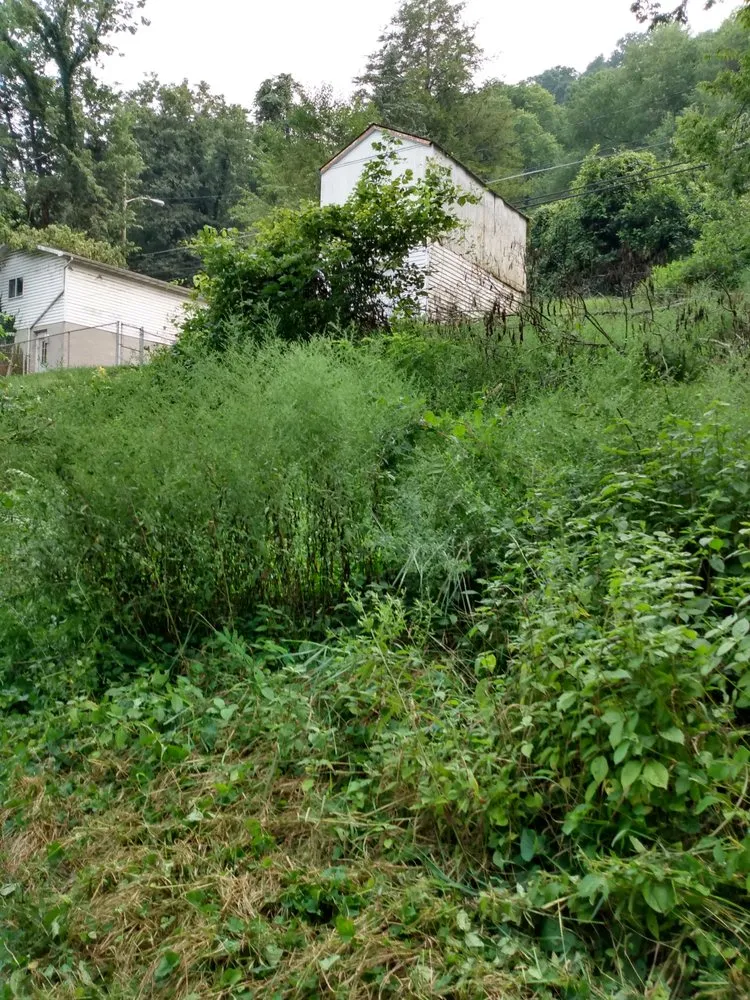 Reliable garden landscaping experts serving Maysville, KY - S&s Mowing