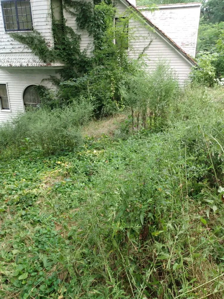 Local yard cleanup service experts serving Maysville, KY - S&s Mowing