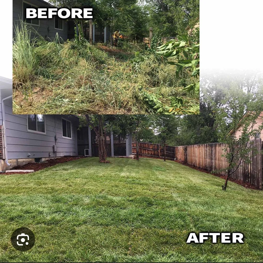 Affordable lawn mowing service in Olive Branch, MS - S&S Nicks Professions