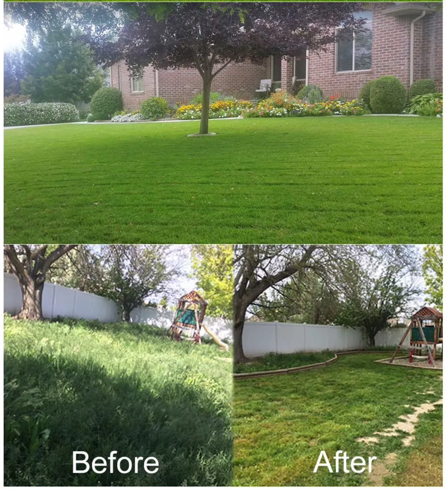 Trusted landscaping services experts serving Olive Branch, MS - S&S Nicks Professions