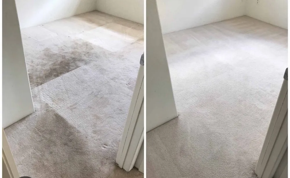 Affordable residential landscaping for year-round maintenance in Olive Branch, MS by S&S Nicks Professions