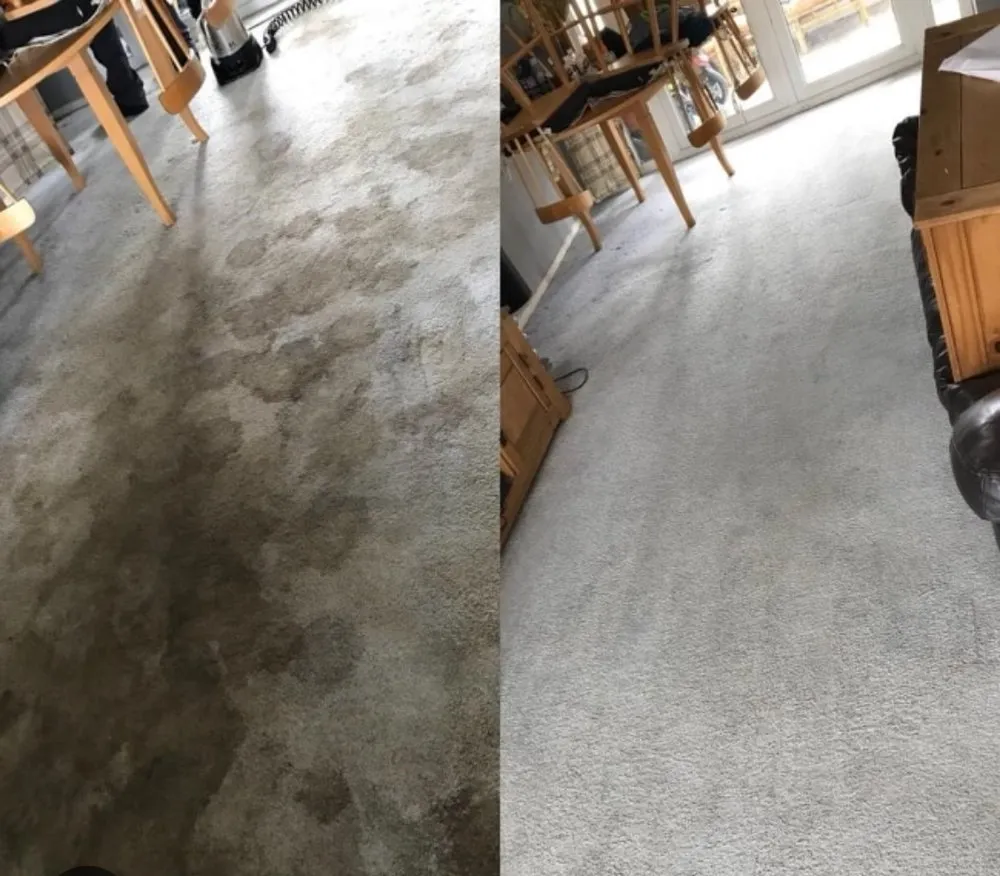 Local residential landscaping for homes across Olive Branch, MS - S&S Nicks Professions