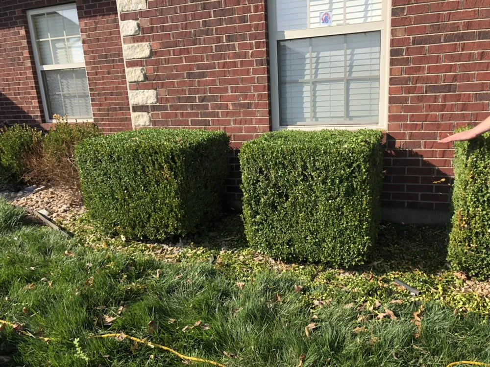 Expert lawn mowing service experts serving Columbia, MO - S&S Outdoors