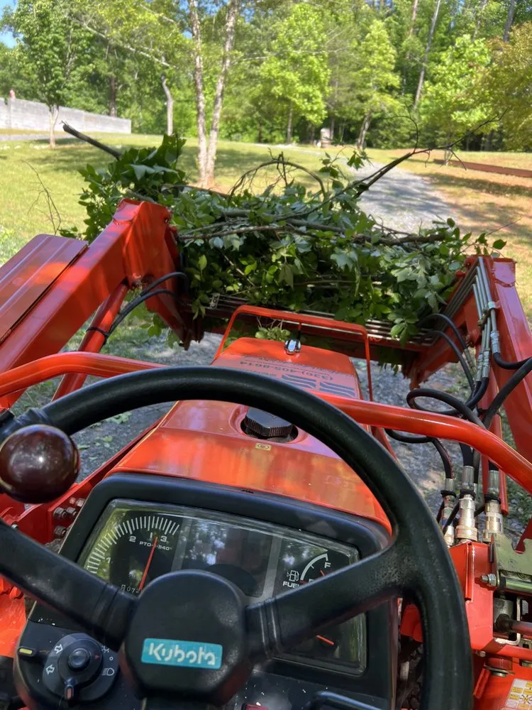 Professional garden landscaping for year-round maintenance across Mount Airy, NC - SS Property Services