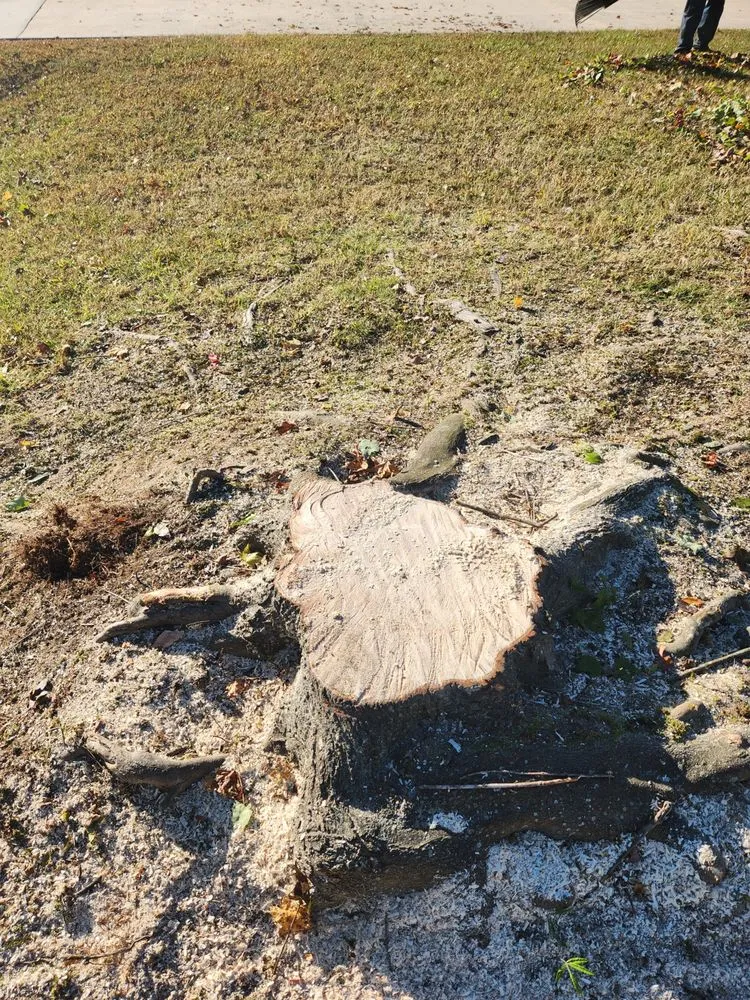 Reliable landscape design experts serving High Point, NC - S&S Stump Grinding