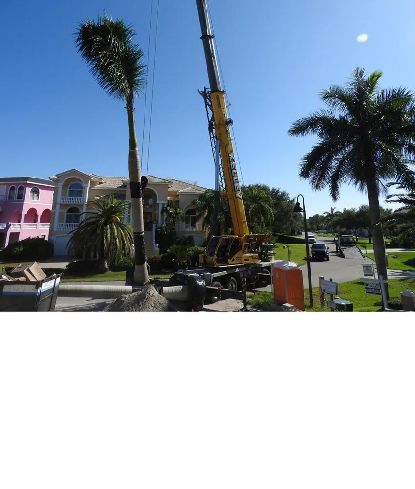 Reliable landscape design for homes across Saint Petersburg, FL - S&S Tree and Landscape