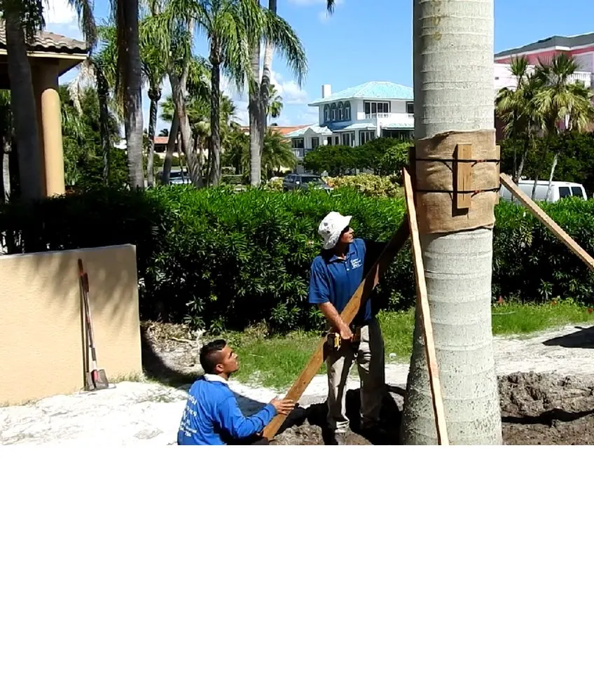 Professional lawn care service for residential properties in Saint Petersburg, FL by S&S Tree and Landscape