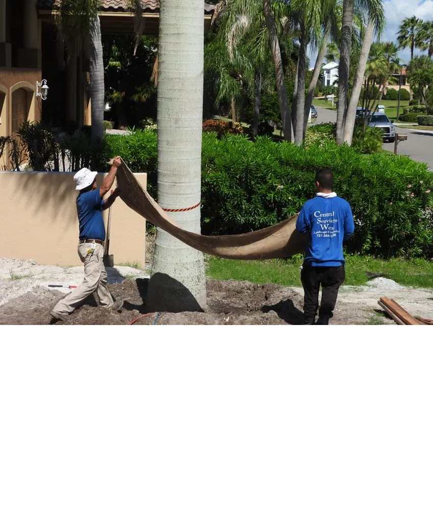 Top-rated garden landscaping for beautiful yards in Saint Petersburg, FL by S&S Tree and Landscape