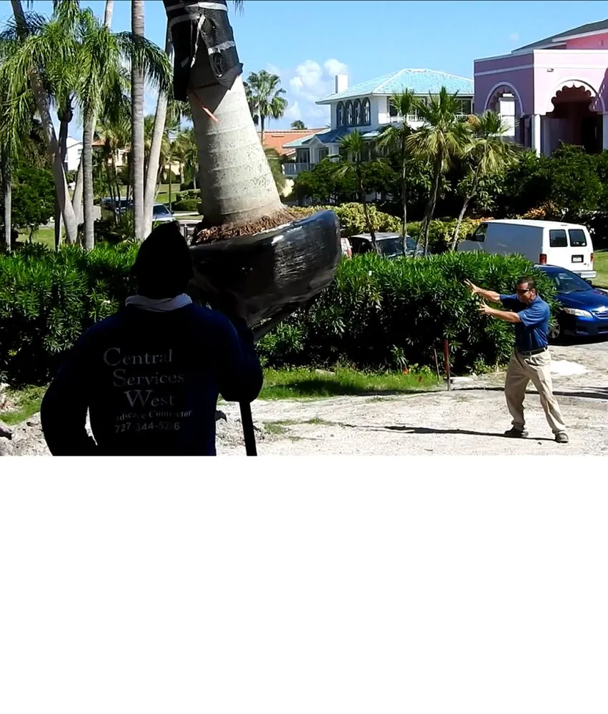 Top-rated outdoor landscaping near you in Saint Petersburg, FL by S&S Tree and Landscape