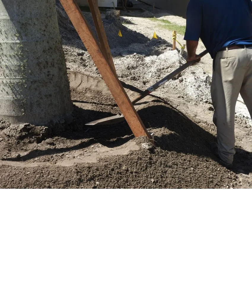 Professional outdoor landscaping in Saint Petersburg, FL by S&S Tree and Landscape