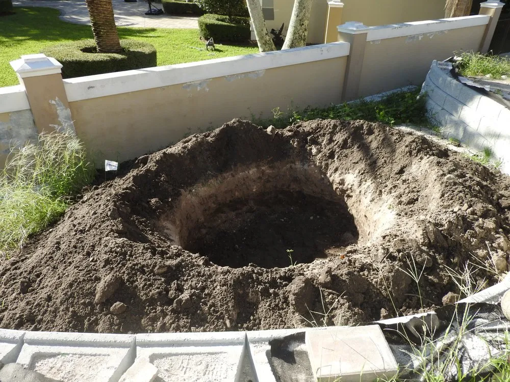 Professional landscaping services experts serving Saint Petersburg, FL - S&S Tree and Landscape