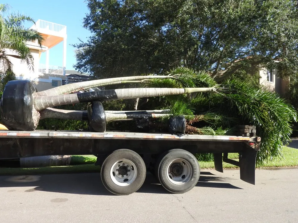 Affordable lawn care service in Saint Petersburg, FL by S&S Tree and Landscape