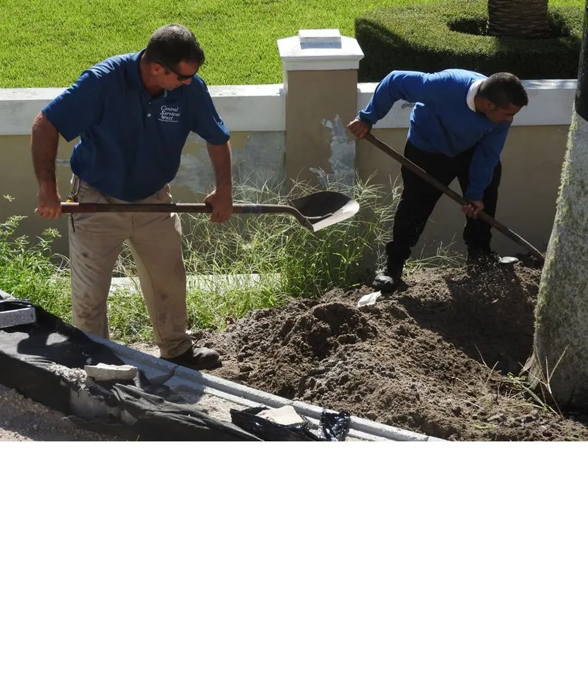 Top-rated residential landscaping in Saint Petersburg, FL by S&S Tree and Landscape