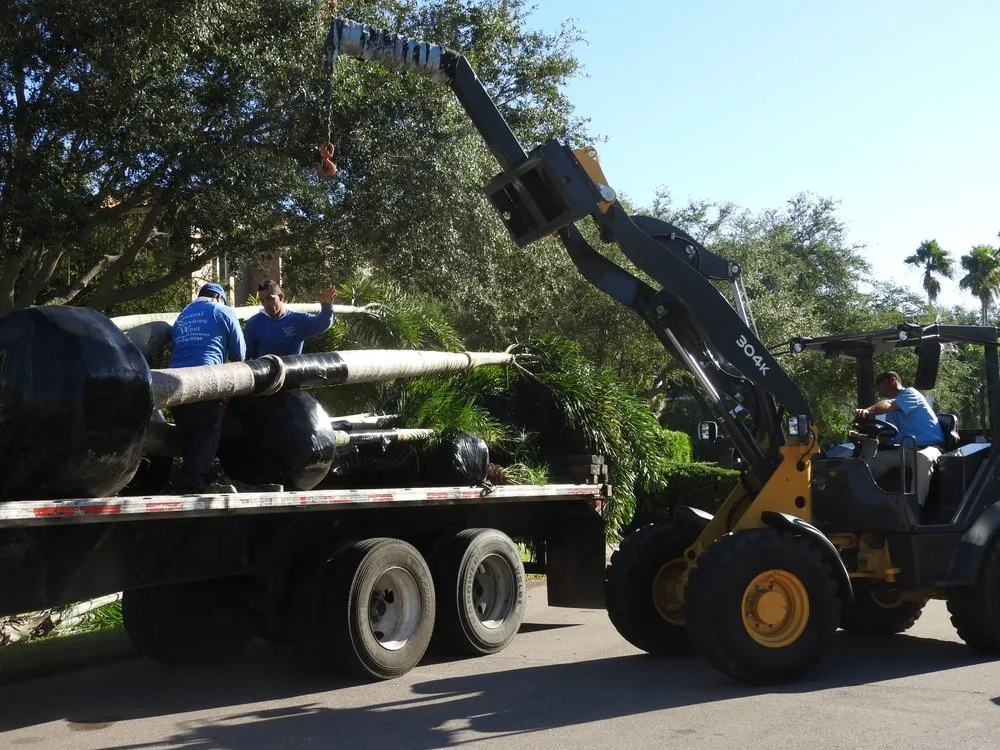 Trusted lawn mowing service experts serving Saint Petersburg, FL - S&S Tree and Landscape