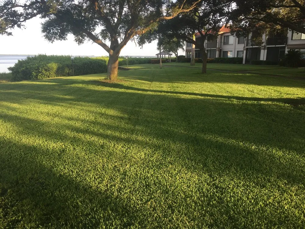 Top-rated residential landscaping in Saint Petersburg, FL by S&S Tree and Landscape