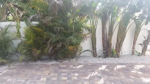 Expert landscaping services in Saint Petersburg, FL by S&S Tree and Landscape