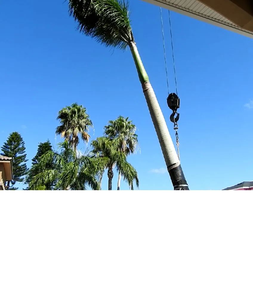 Top-rated lawn mowing service for beautiful yards in Saint Petersburg, FL by S&S Tree and Landscape