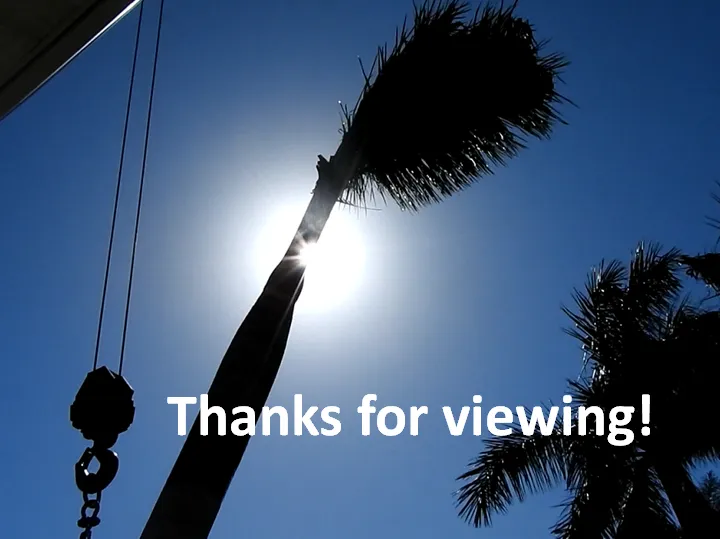 Trusted landscaping services in Saint Petersburg, FL by S&S Tree and Landscape