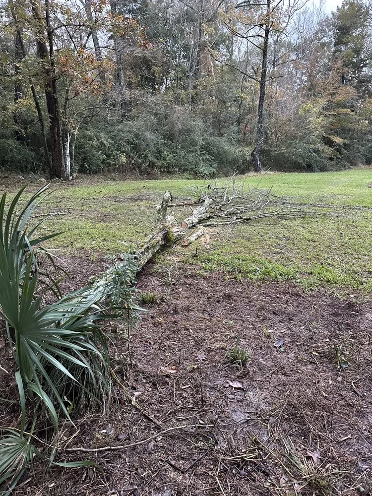 Reliable lawn mowing service in Walker, LA by SS Tree Service