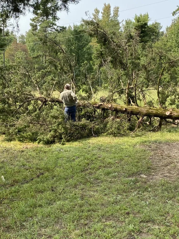 Trusted outdoor landscaping for outdoor upgrades across Walker, LA - SS Tree Service