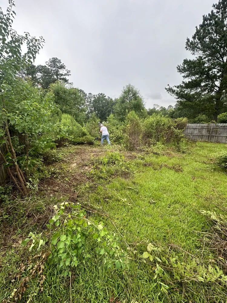 Trusted landscape design in Walker, LA by SS Tree Service