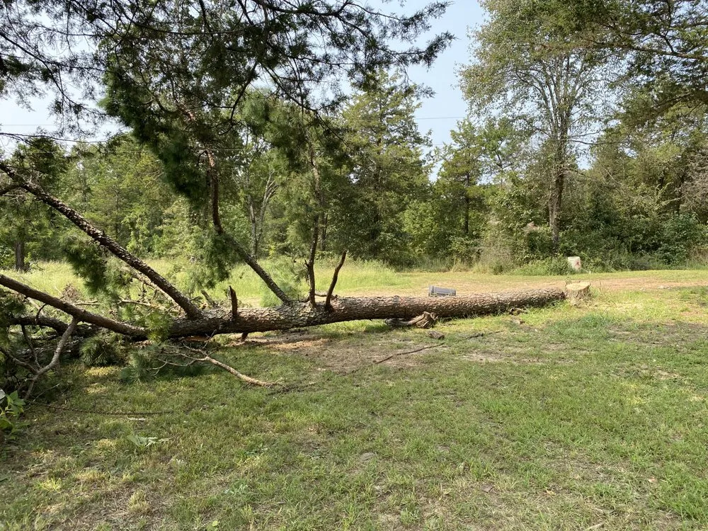 Local residential landscaping experts serving Walker, LA - SS Tree Service