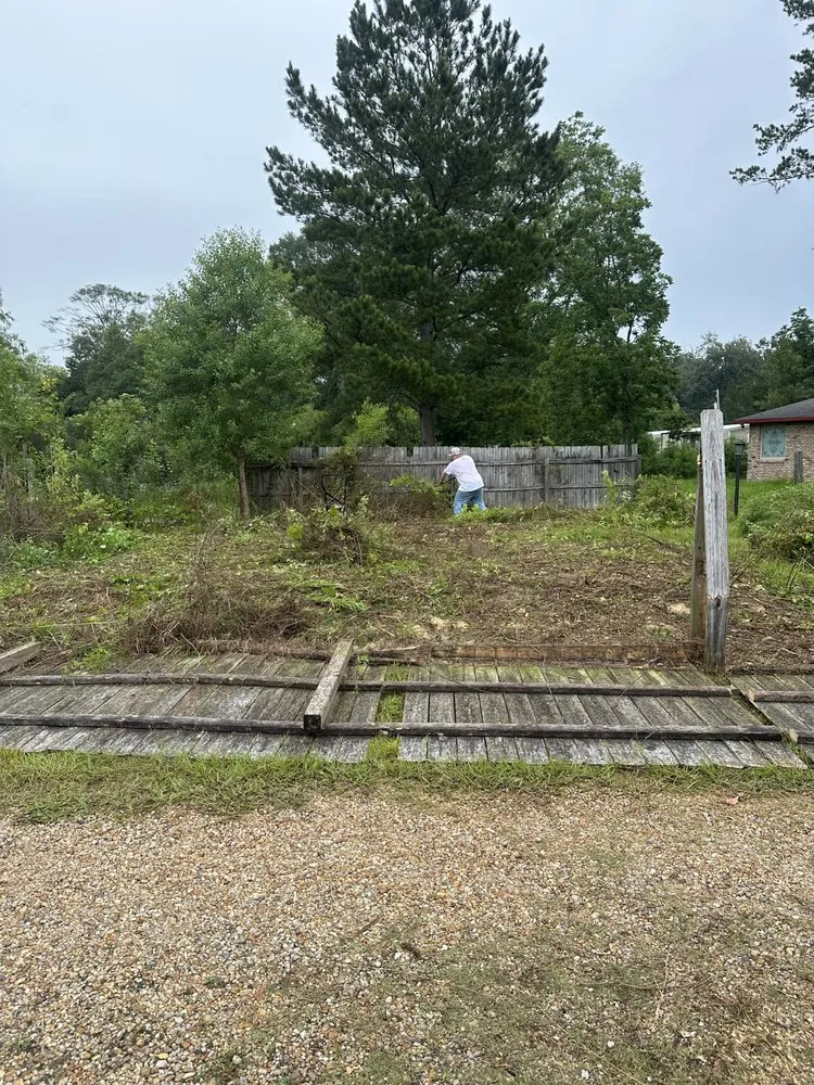 Affordable yard cleanup service near you in Walker, LA by SS Tree Service