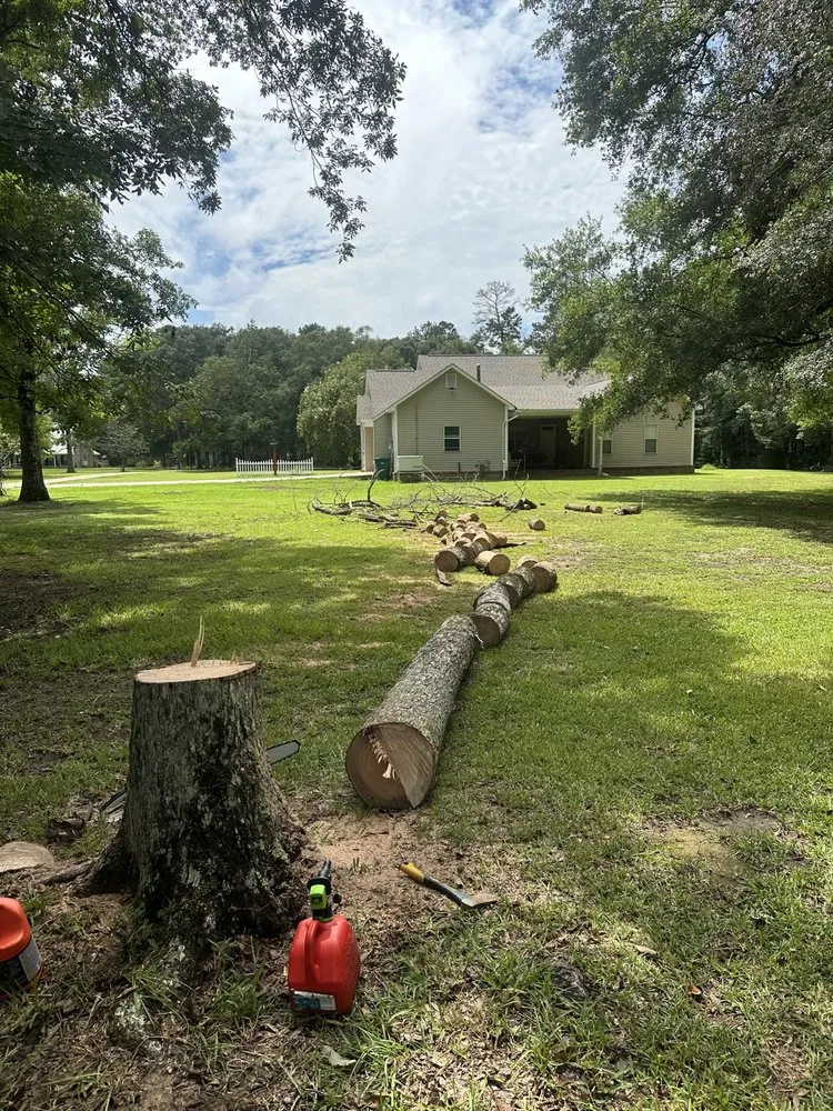 Reliable landscaping services in Walker, LA - SS Tree Service