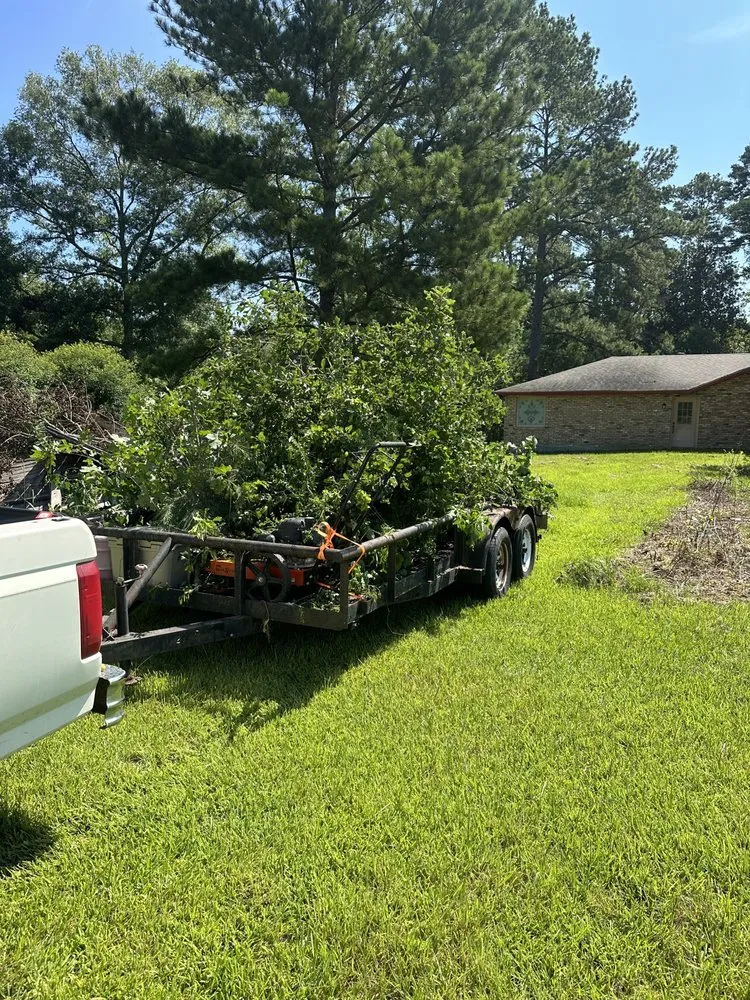 Top-rated landscape design for year-round maintenance in Walker, LA by SS Tree Service