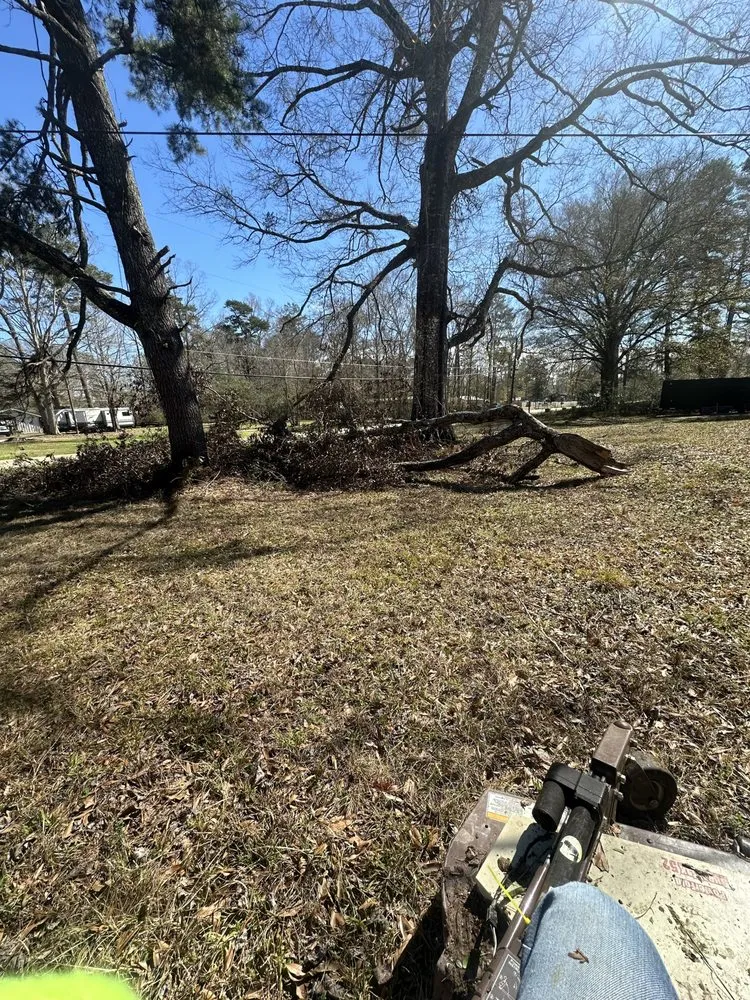 Professional landscape design in Walker, LA by SS Tree Service