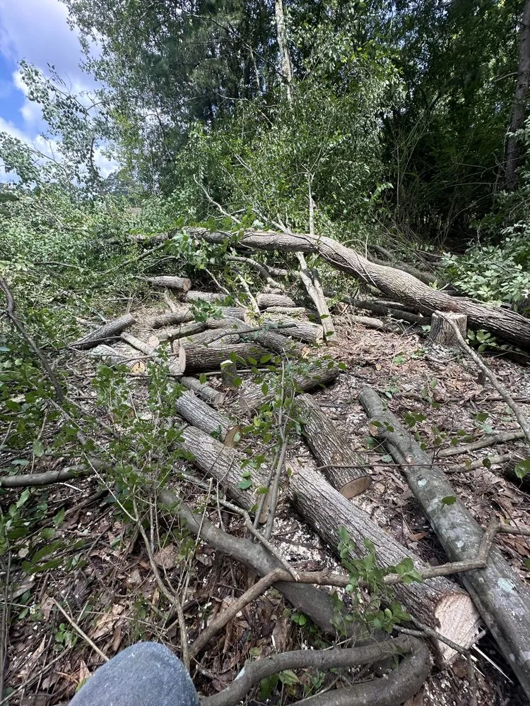 Professional lawn mowing service with custom design in Walker, LA by SS Tree Service