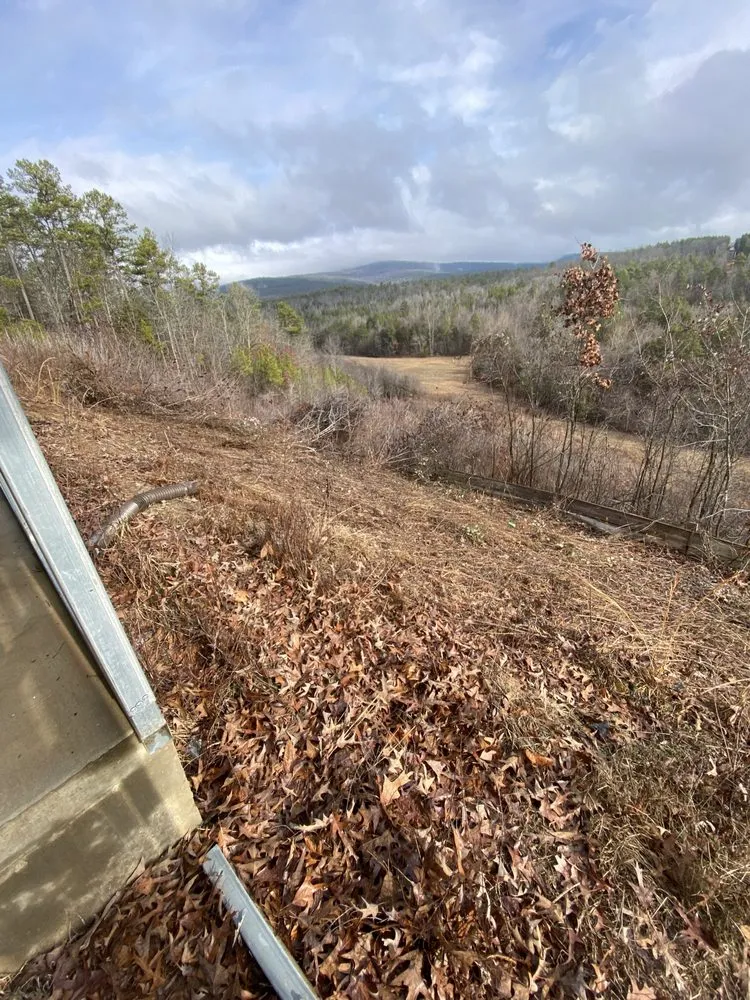 Custom landscape design in Walker, LA by SS Tree Service