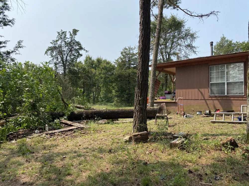 Top-rated outdoor landscaping for outdoor upgrades across Walker, LA - SS Tree Service