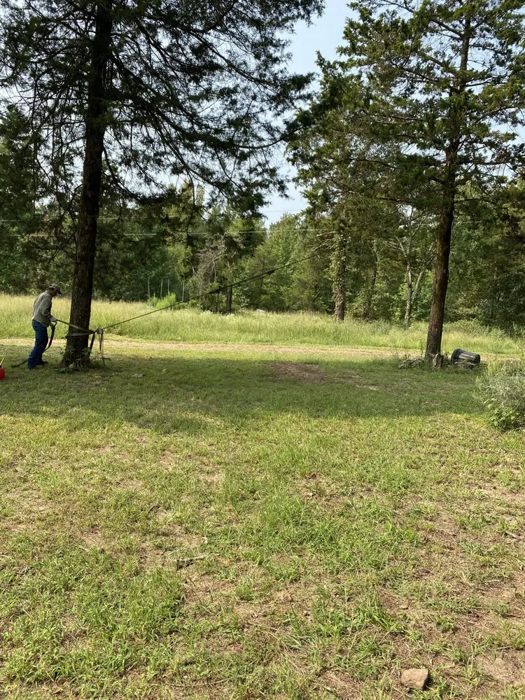 Top-rated yard cleanup service in Walker, LA by SS Tree Service