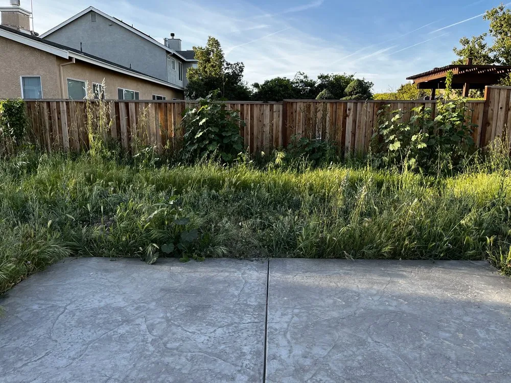 Expert garden landscaping with custom design across Tracy, CA - SSAW Tree & Gardening Services