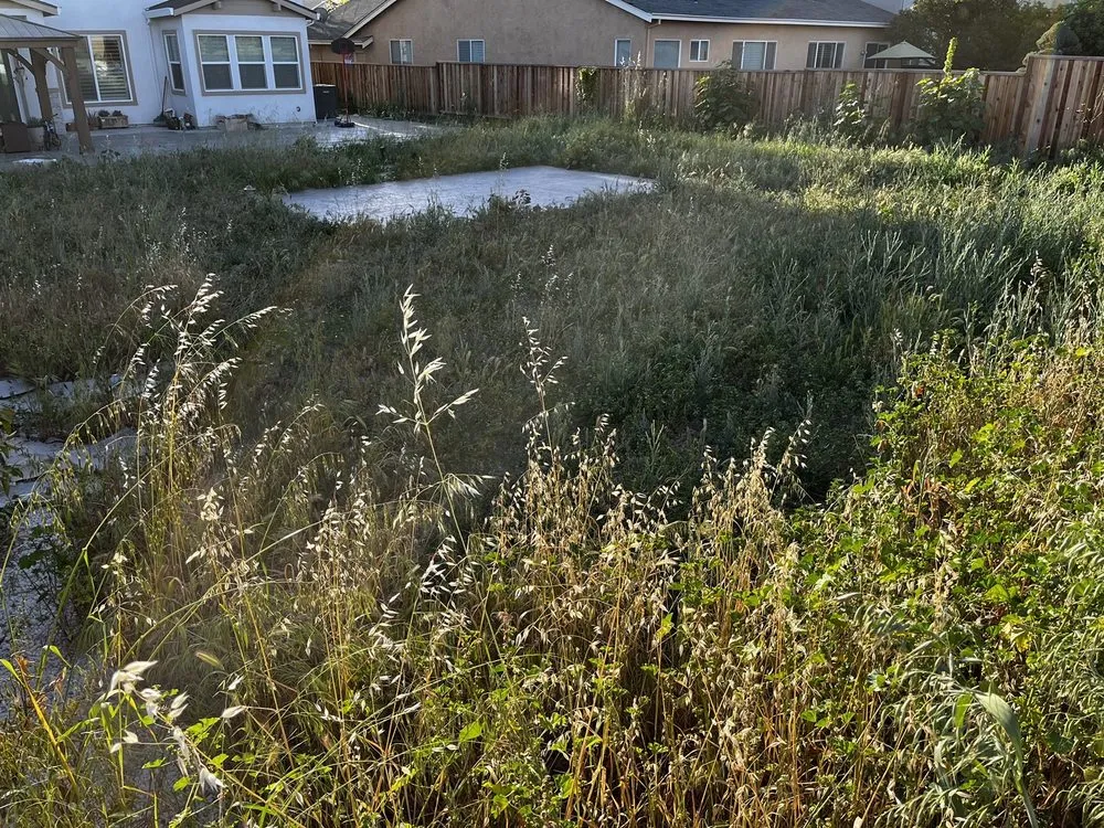 Professional landscaping services with custom design across Tracy, CA - SSAW Tree & Gardening Services