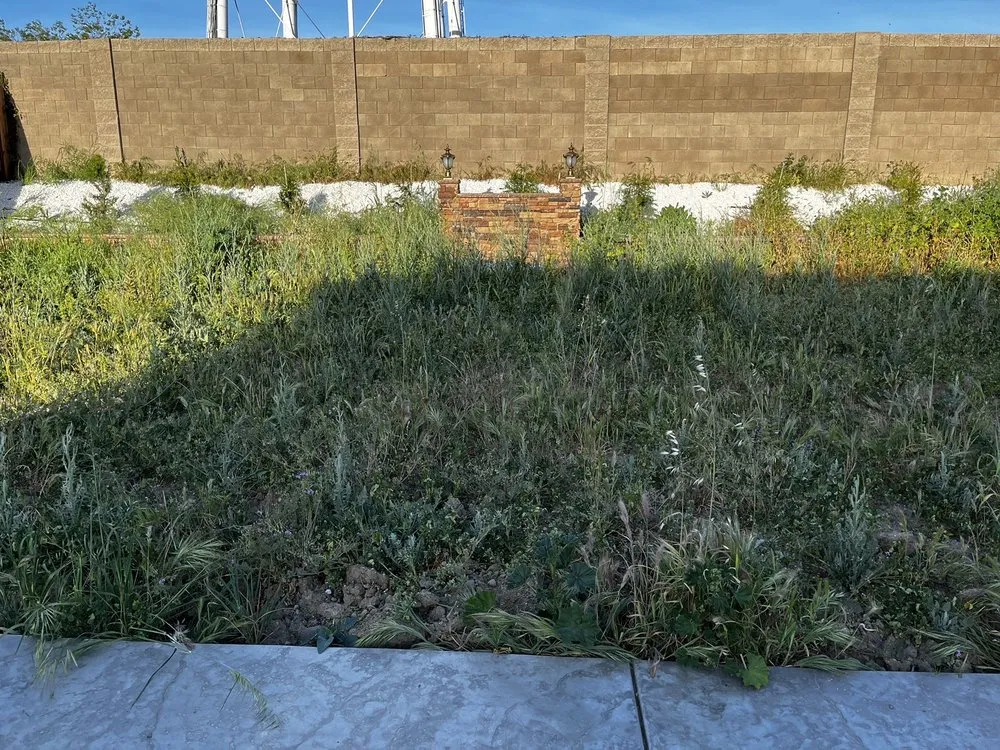 Top-rated lawn care service with custom design across Tracy, CA - SSAW Tree & Gardening Services