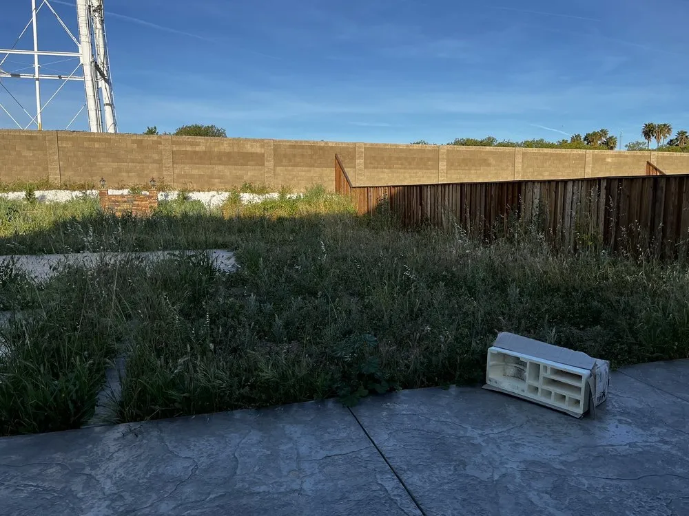 Trusted landscape design in Tracy, CA by SSAW Tree & Gardening Services